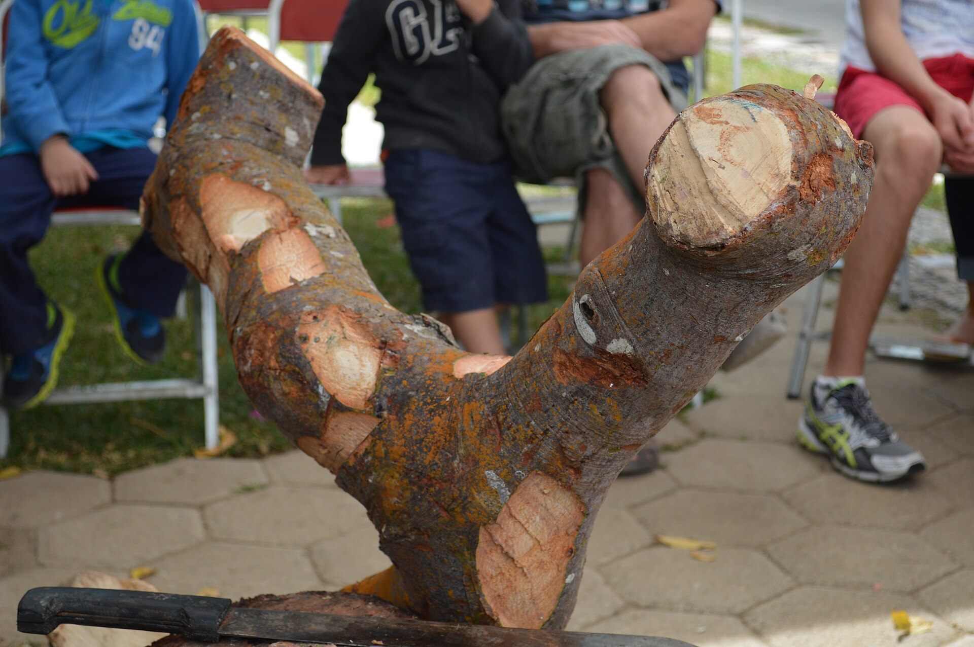 阿莱布里赫彩绘工坊·圣马丁蒂尔卡赫特 · Alebrije workshop · San Martín Tilcajete 参考图 1