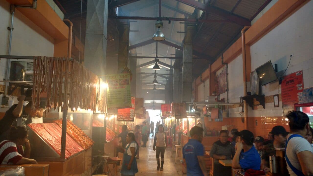 11月20日市场 · Mercado 20 de Noviembre 参考图 1
